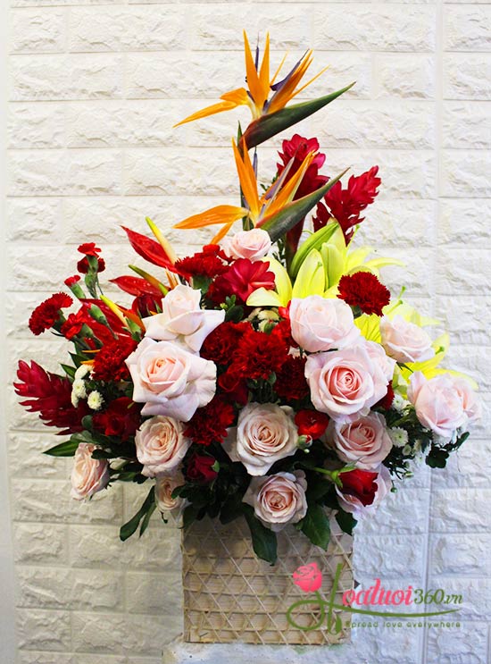 Hoa chúc mừng good luck Hoa chúc mừng good luck